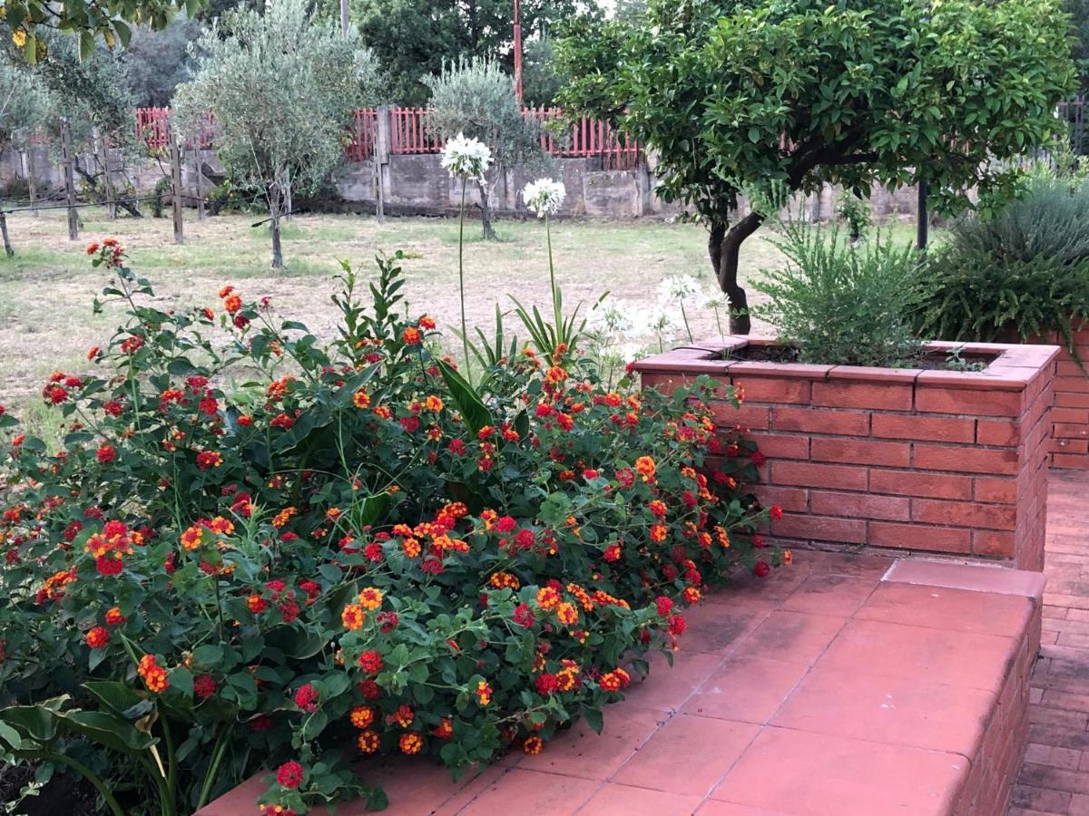 Villa Carolea Acireale Exterior foto